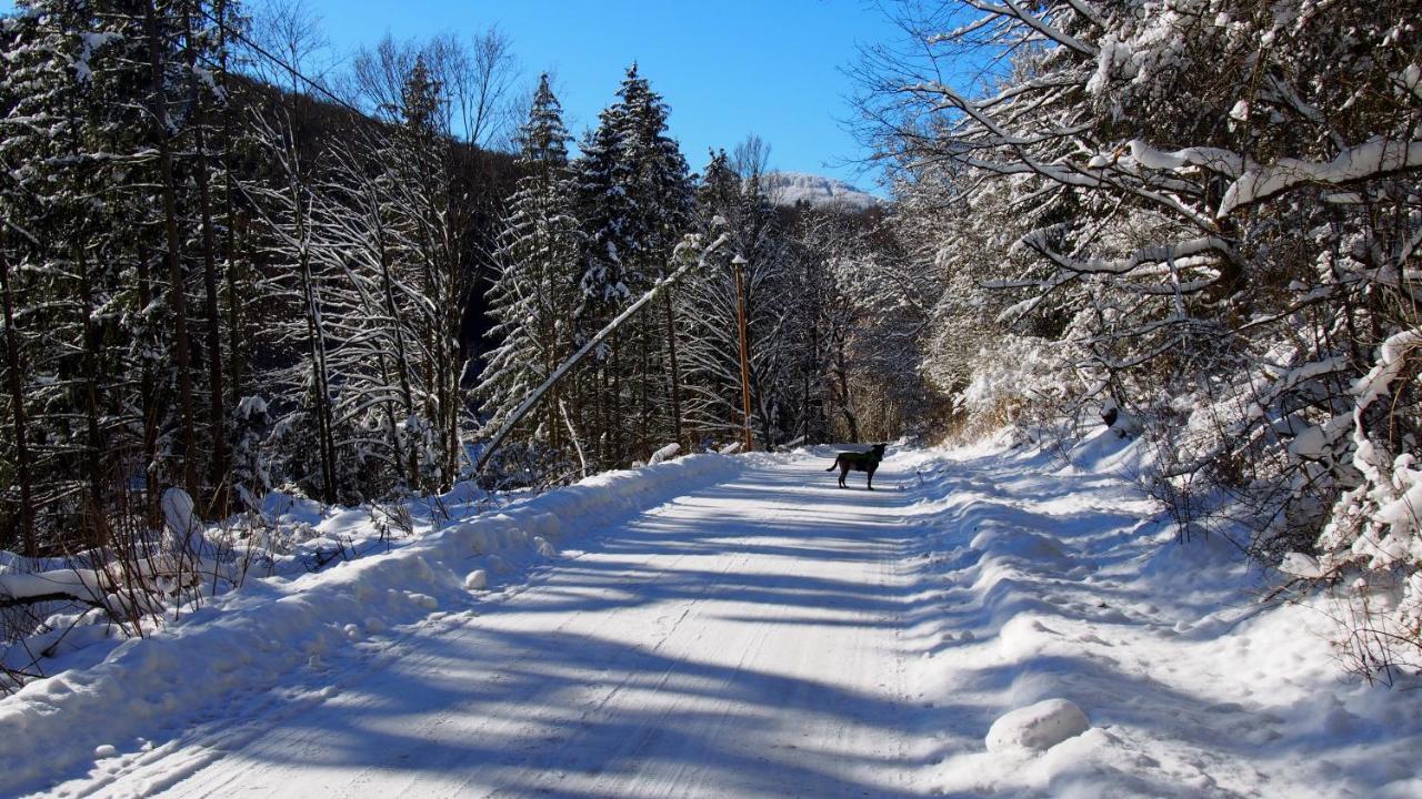 شقة Fewo Talula - Sauerland Mit Hund ميدهباخ المظهر الخارجي الصورة