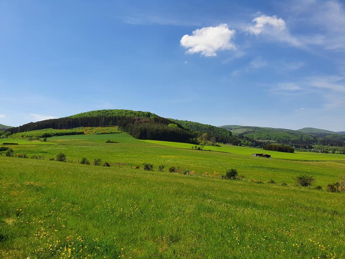 شقة Fewo Talula - Sauerland Mit Hund ميدهباخ المظهر الخارجي الصورة