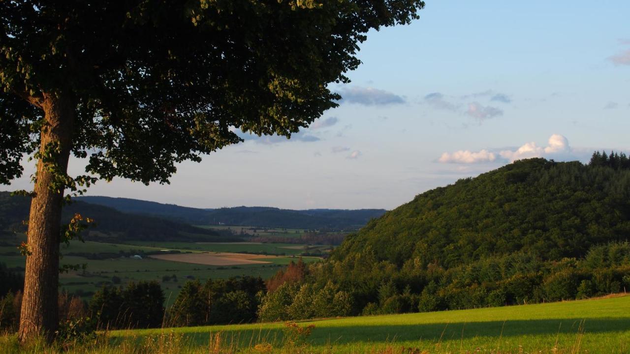 شقة Fewo Talula - Sauerland Mit Hund ميدهباخ المظهر الخارجي الصورة