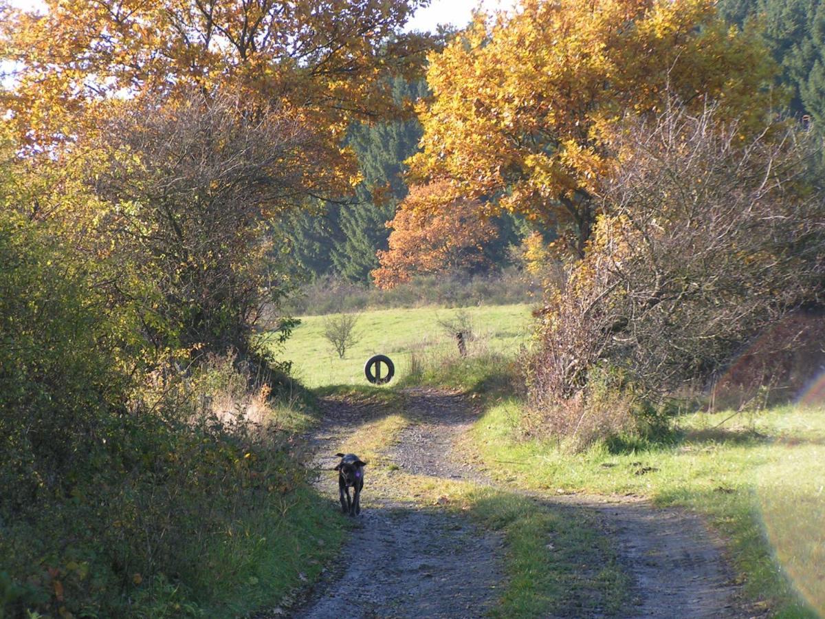 شقة Fewo Talula - Sauerland Mit Hund ميدهباخ المظهر الخارجي الصورة